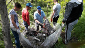 partener-project-image