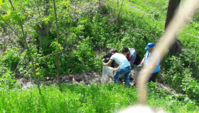 partener-project-image